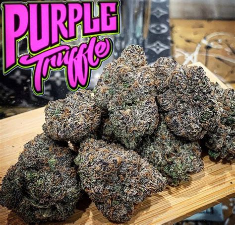 purple truffle strain information.